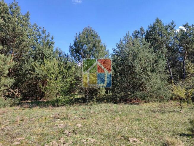 Zadrzewiona działki pod zabudowę 1,2796 ha