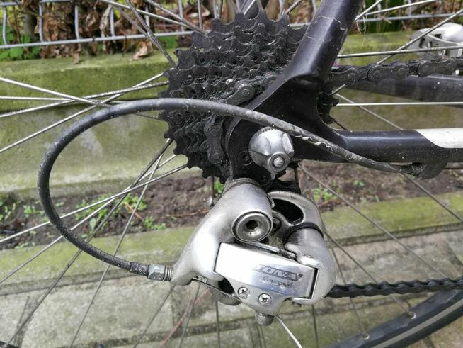 Rower miejski-szosowy Gianni Motta Aluthron