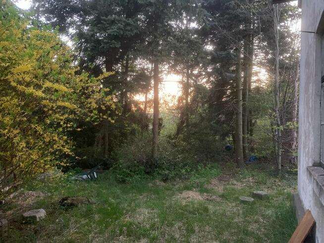 Pół Domu z dużą działka bez pośredników i porwizji