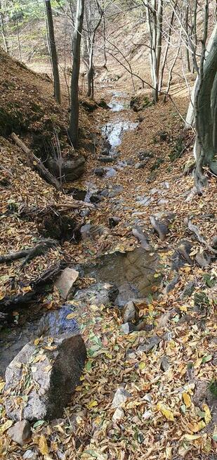 Sprzedam działkę budowlaną widokową