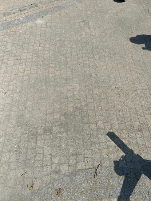 Mycie paneli PV, kostki brukowej, fasad, pielęgnacja