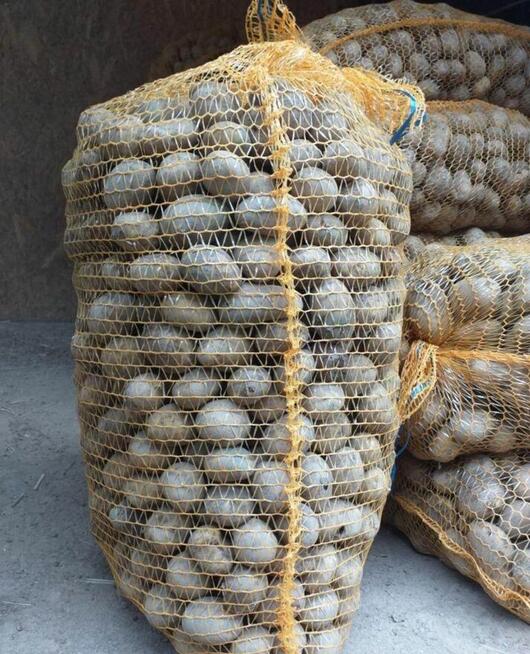 Sprzedam ziemniaki paszowe