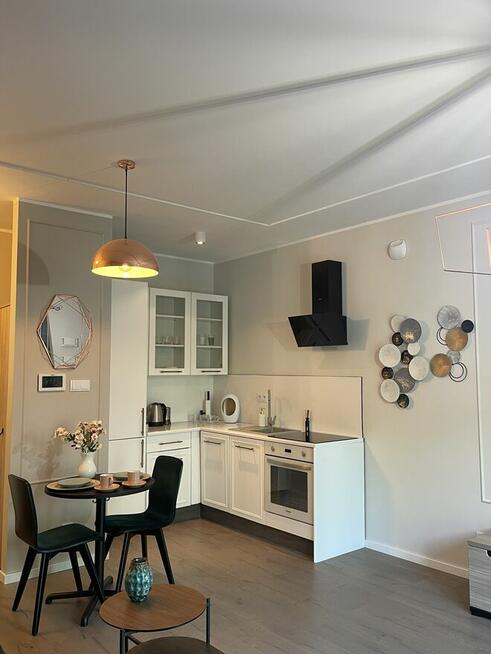 Mieszkanie LUX do wynajęcia Grzybowska 37 2 pokoje