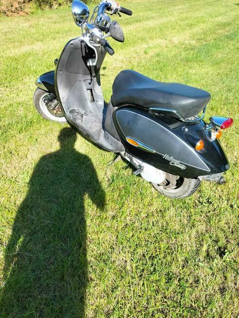 Aprillia habana costom