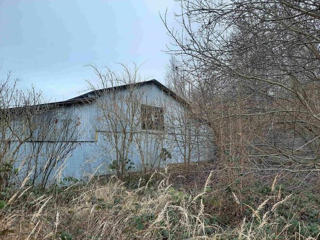 Dom, hala produkcyjna, budynek gospodarczy, działka 0,19 ha