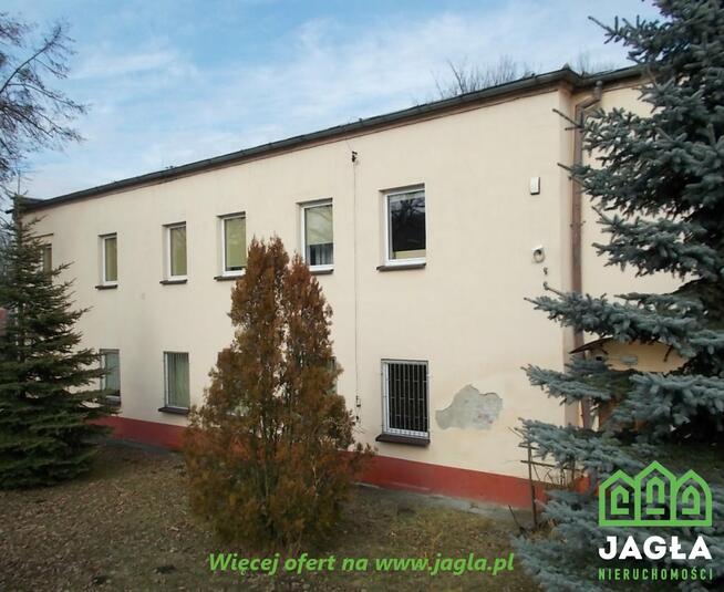 Lokal użytkowy Kcynia Kcynia