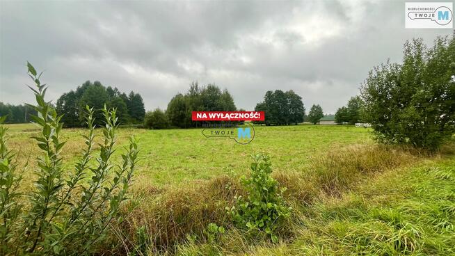 Działka rolna Łopuszno  gm. Łopuszno Nowek