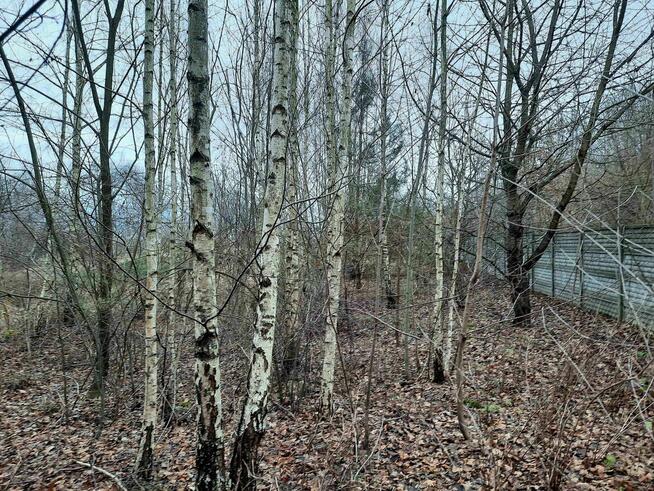 Dom, hala produkcyjna, budynek gospodarczy, działka 0,19 ha