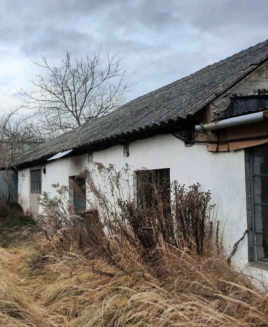 Dom, hala produkcyjna, budynek gospodarczy, działka 0,19 ha