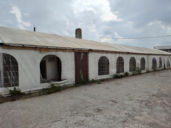 Syndyk sprzedaje namiot plandekowy po Drew Holz