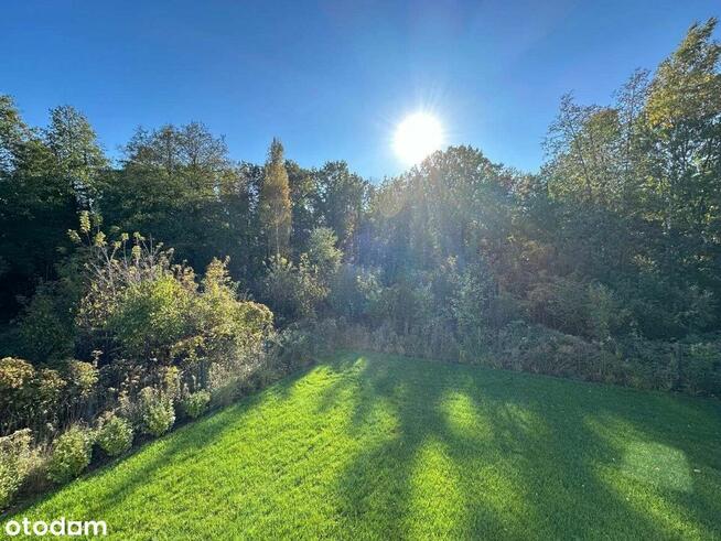 Nowy, elegancko wykończony dom, przy ścianie lasu