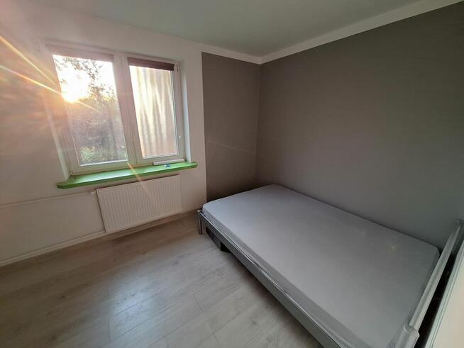 Mieszkanie 50 m2 do wynajęcia , centrum