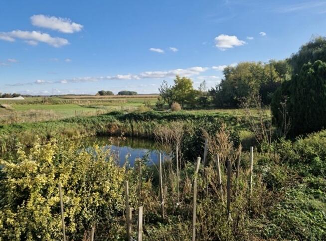 Syndyk ogłasza konkurs na sprzedaż ½ udziału nieruchomości