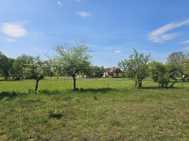 Atrakcyjne działki w Malcanowie, obok szkoły, autobusu