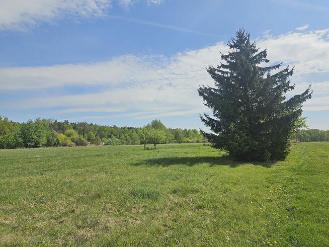 Atrakcyjne działki w Malcanowie, obok szkoły, autobusu