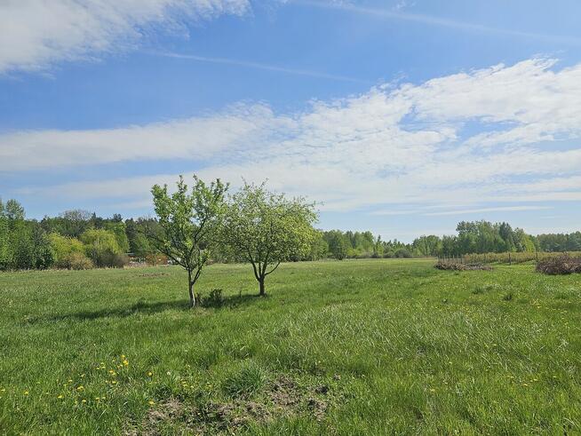 Atrakcyjne działki w Malcanowie, obok szkoły, autobusu
