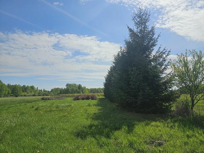 Atrakcyjne działki w Malcanowie, obok szkoły, autobusu