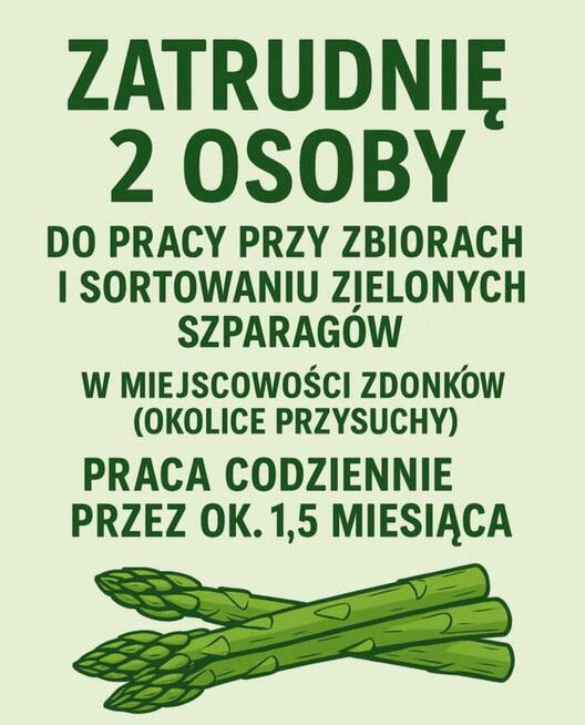Zbiory i sortowanie szparag