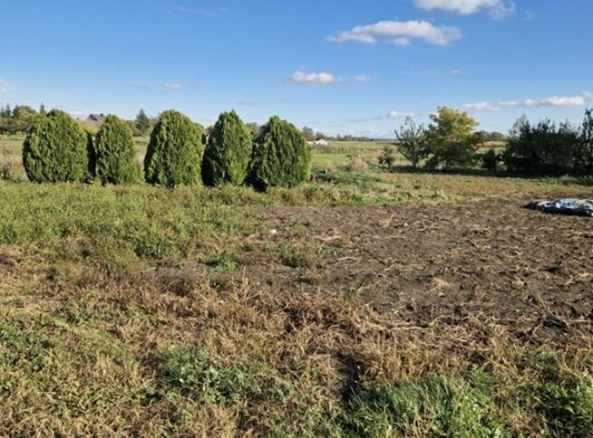 Syndyk ogłasza konkurs na sprzedaż ½ udziału nieruchomości