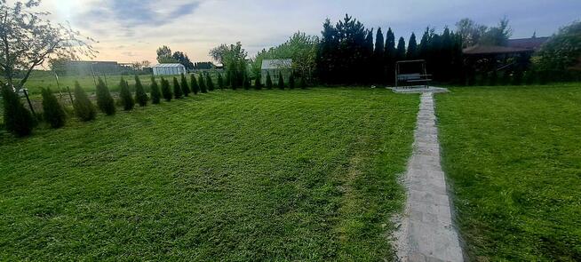 Działka ROD z ogromnym potencjałem