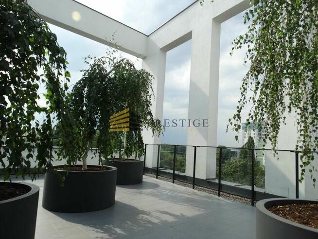 Mieszkanie na wynajem dla singla lub pary