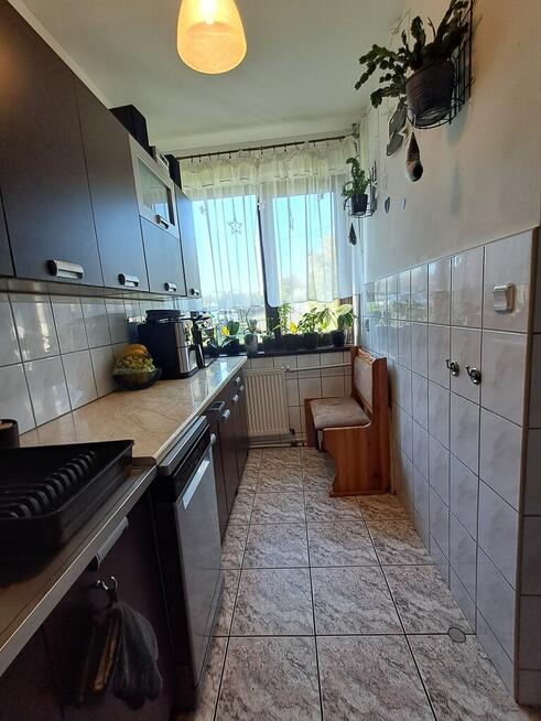 Radawiec Duży - przytulny domek z ogrodem 20ar