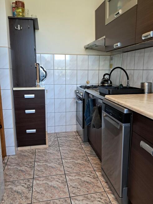 Radawiec Duży - przytulny domek z ogrodem 20ar