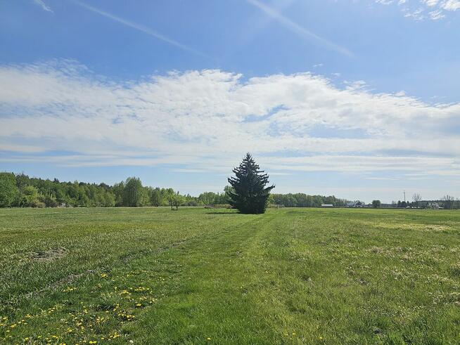 Atrakcyjne działki w Malcanowie, obok szkoły, autobusu