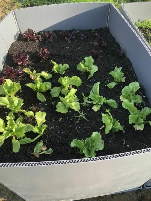 Ziemia ogrodowa ,ziemia trawnikowa, czarnoziem