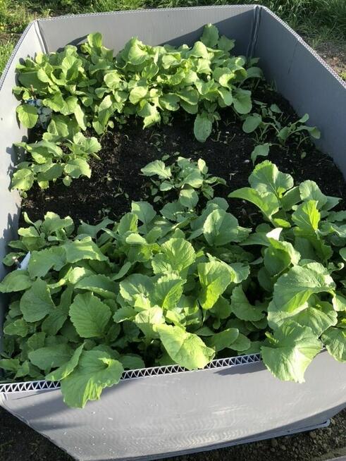 Ziemia ogrodowa ,ziemia trawnikowa, czarnoziem