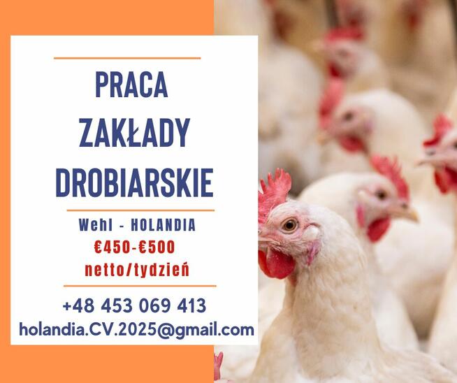 Pracownik w zakładach drobiarskich
