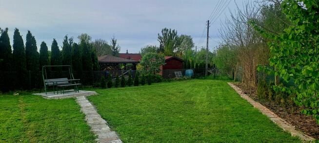 Działka ROD z ogromnym potencjałem