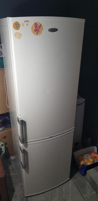 Lodowka Whirlpool 183cm. Transport