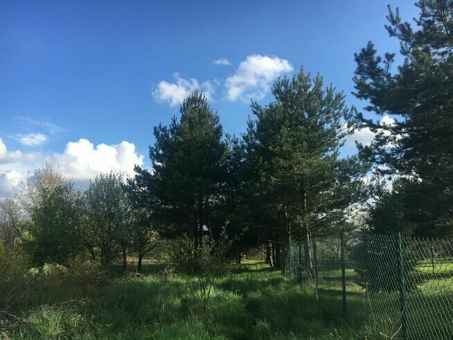 Działka Budowlana w Częstochowie