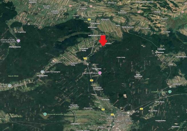 Działka budowlana 1,2 ha Karolówka, 10 min do Biłgoraja