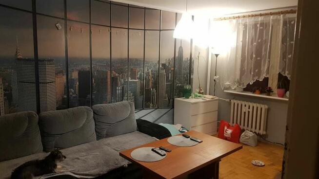 Mam do wynajęcia 2 pokojowe mieszkanie