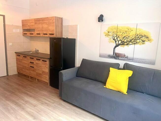 Madalińskiego 5, kawalerka przyjazna dla zwierząt