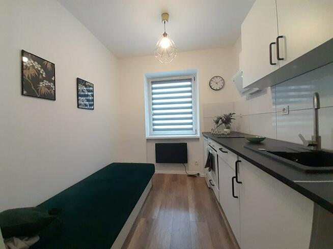 Świdra 15, jasne studio przyjazne dla zwierząt