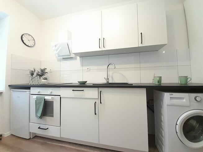 Świdra 15, jasne studio przyjazne dla zwierząt