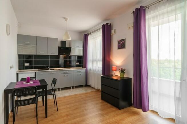 Jasna kawalerka obok Parku Śląskiego,Chorzowska214