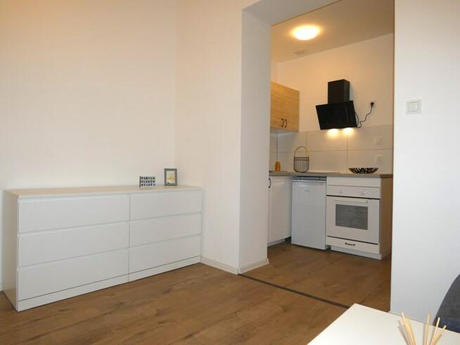 Wynajmę 2 pokoje w Centrum, Wolności 302