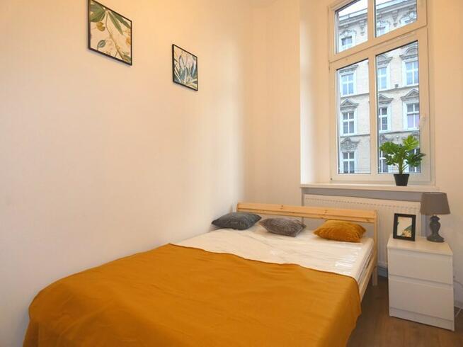 Wynajmę 2 pokoje w Centrum, Wolności 302