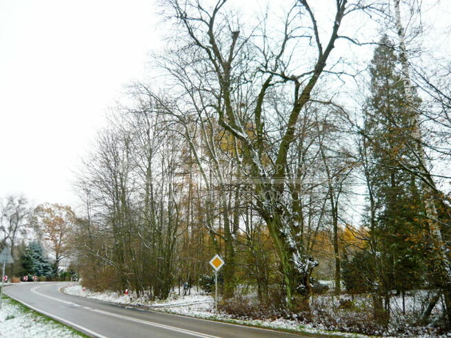 Działka budowlana Tomaszowice-Kolonia gm. Jastków, Tomaszowice Kolonia