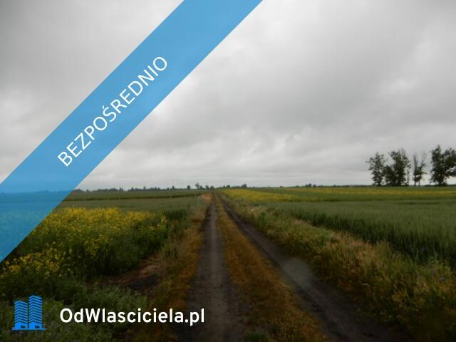 Syndyk sprzeda udział 1/8, Oborzany, działki nr 240, nr 459, nr 505 - cena 40% wartości oszacowania