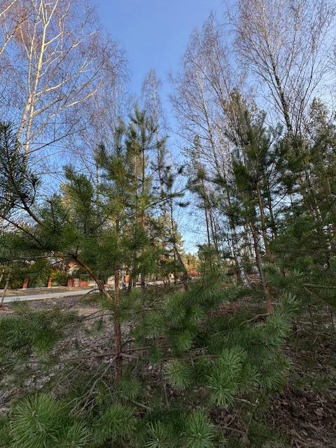 Działka budowlana Warszawa Wesoła, Zielona