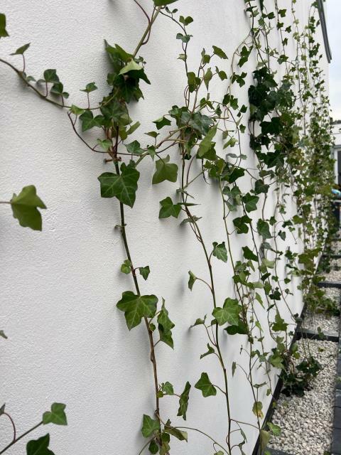 Dom Warszawa Wesoła