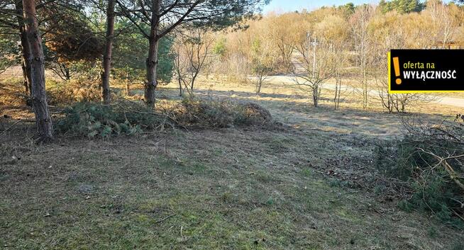 Działka rekreacyjna Życiny gm. Raków,