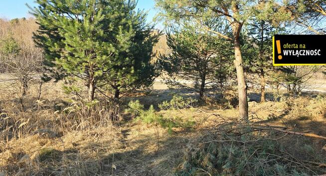 Działka rekreacyjna Życiny gm. Raków,