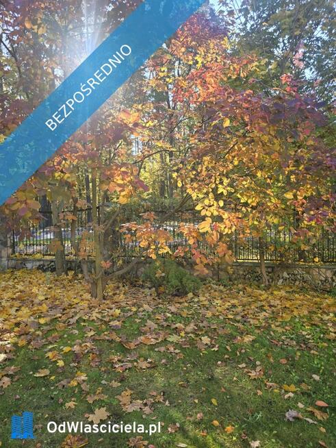 Dom na skaju Puszczy Białowieskiej