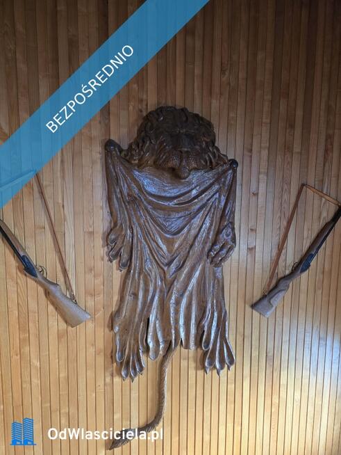 Dom na skaju Puszczy Białowieskiej